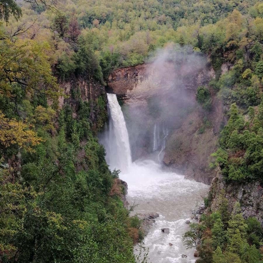 Refugio Del Salto -Radal 7 Tazas Villa Molina  Eksteriør bilde