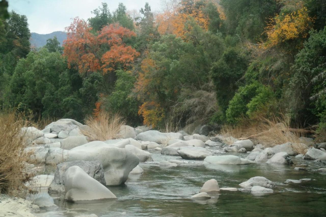 Refugio Del Salto -Radal 7 Tazas Villa Molina  Eksteriør bilde