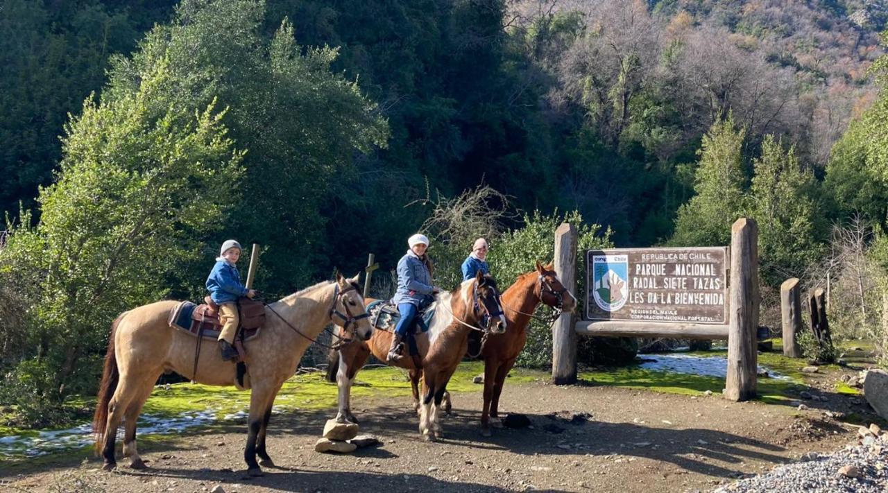 Refugio Del Salto -Radal 7 Tazas Villa Molina  Eksteriør bilde